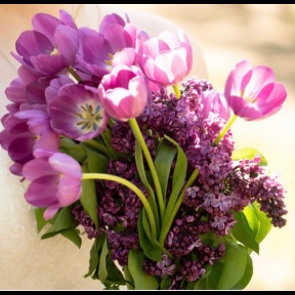 Welcome! - Picture 1 of 1